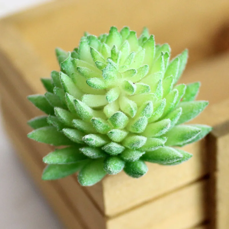 6 шт./компл. Unpotted Искусственные суккуленты Ассорти искусственный суккулент растения декорацией