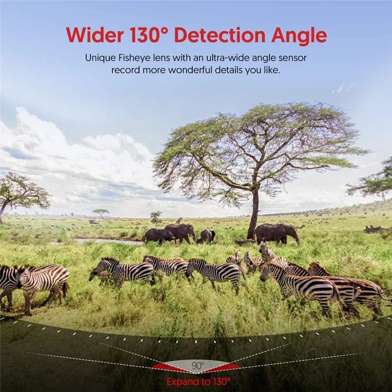 71%2BkaiV%2BjxL._AC_SL1001_