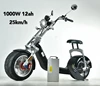 black 1000W 12AH