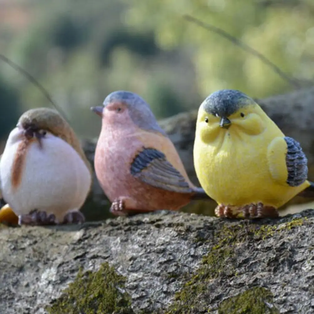 Декоративные птицы для дома. Красный кардинал angry birds. Болотная галка. Смол птица. Смол птица.