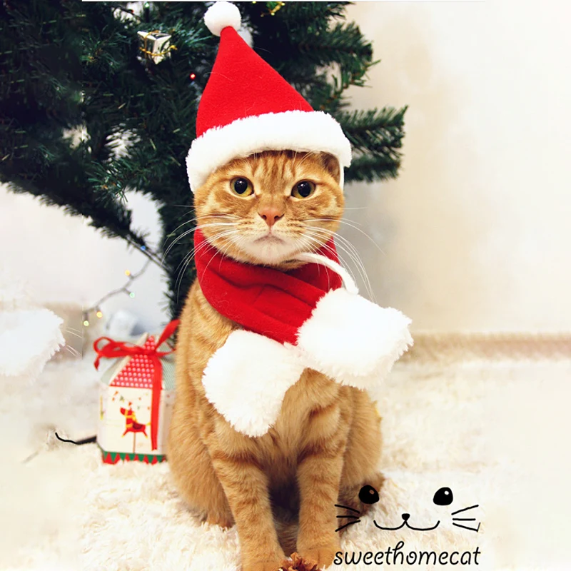

2020 Christmas Cat Costumes Funny Santa Claus Clothes For Small Cats Dogs Xmas New Year Pet Cat Clothing Winter Kitten Outfits