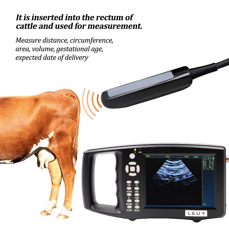 Scanner à ultrasons Portable pour Grossesse vétérinaire, Scanner Portable,  Machine numérique vétérinaire, Vaches, Chevaux et ânes, sonde rectale 6,5