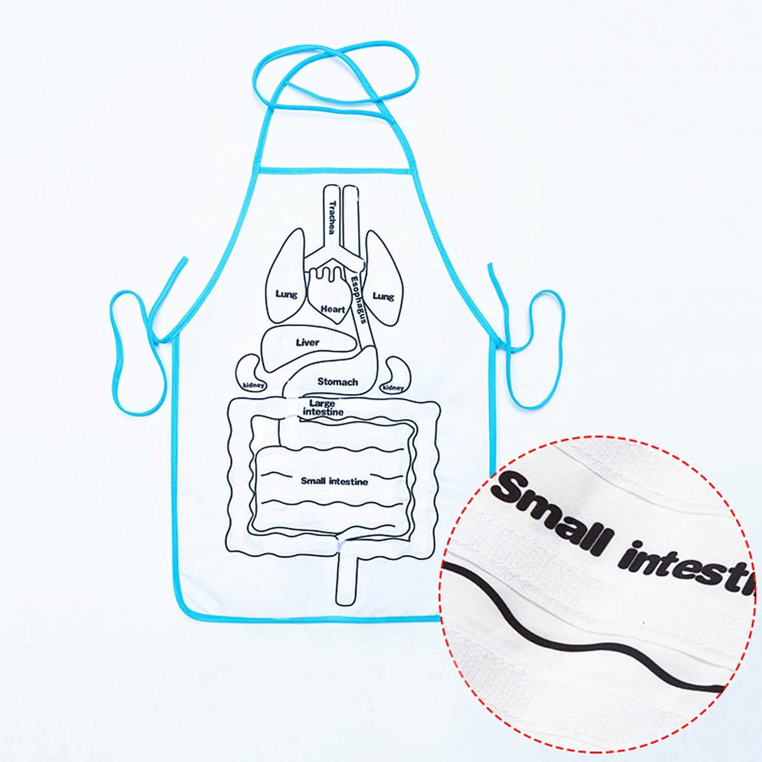  Children Anatomy Apron Human Body Organs Awareness Educational Toys for Kid Toddlers Preschool Scie - 4000302967943