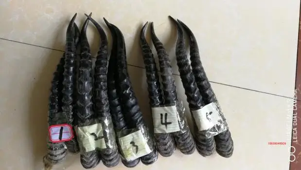 HTB1kQWvwXmWBuNjSspdq6zugXXaj