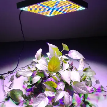 

Newest 45W 2400LM 225-LED Red & Blue & Orange & White Light Indoor Garden Plant Grow Light Hanging Light Si