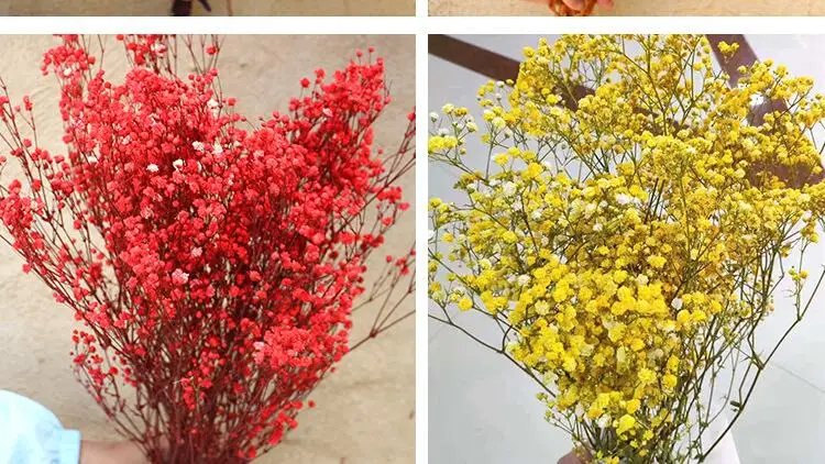 Natural Fresh Dried Preserved Flowers Gypsophila Paniculata,Baby's Breath Flower Bouquets Gift for Wedding Decoration,Valentines Natural Fresh Dried Preserved Flowers Gypsophila Paniculata,Baby's Breath Flower Bouquets Gift for Wedding Decoration,Valentines