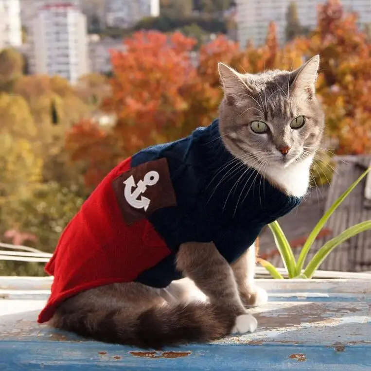 Вязаный свитер для кошек разных цветов на осень и весну, джемпер для питомцев, одежда для кошек, жилет для маленьких кошек, собак, домашних животных - Цвет: Dark blue Red