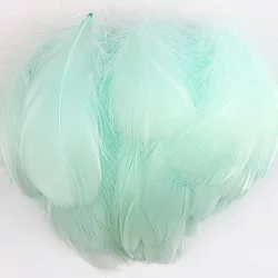100pcs Small Goose Feathers for Crafts and Decorations (Light blue green)