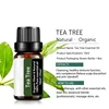 Tea Tree Essential Oil Steamer Wholesale Aromatherapy 100% Pure Natural Skin Care Therapeutic Grade Steam Sauna SPA Dedicated 3