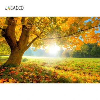 

Laeacco Autumn Landscape Photography Backdrops Sunshine Forest Maple Trees Yellow Leaves Grassland Photo Backgrounds Photophone