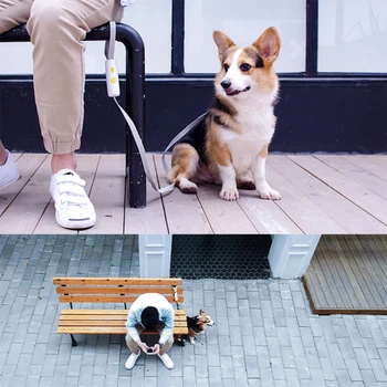 

Durable Dog Leash Black White Anti-lost Nylon Dog Lead Extending Puppy Walking Running Leads For Small Medium Dogs Pet Supplies