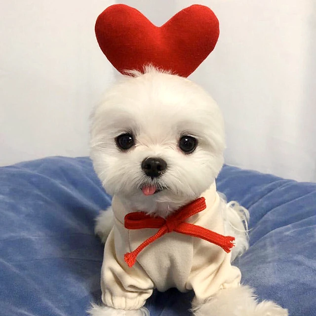 $US $26.45 Autumn Pet Love Sweater Small Dog Teddy Bichon VIP Schnauzer Cat Dog