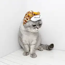 Кепка для домашних животных для кошек/маленьких собак, Брезентовая декоративная вечерние шляпа для животных, регулируемая Милая косплей