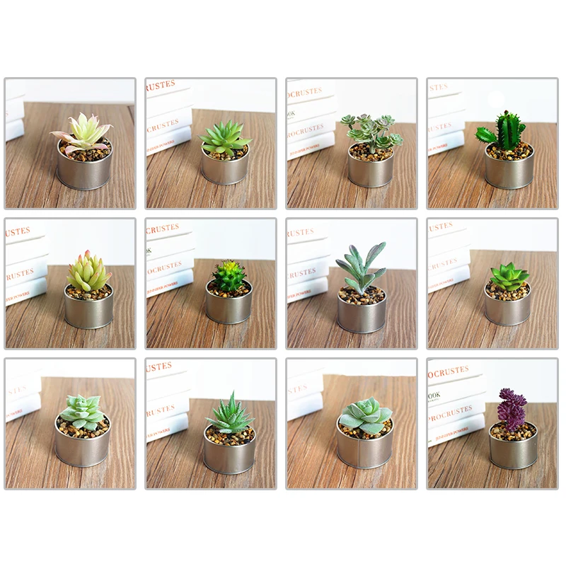 Simulated Potted Plants Succulent Bonsai Plastic Creative Decor portable Table Decor Artificial Flower