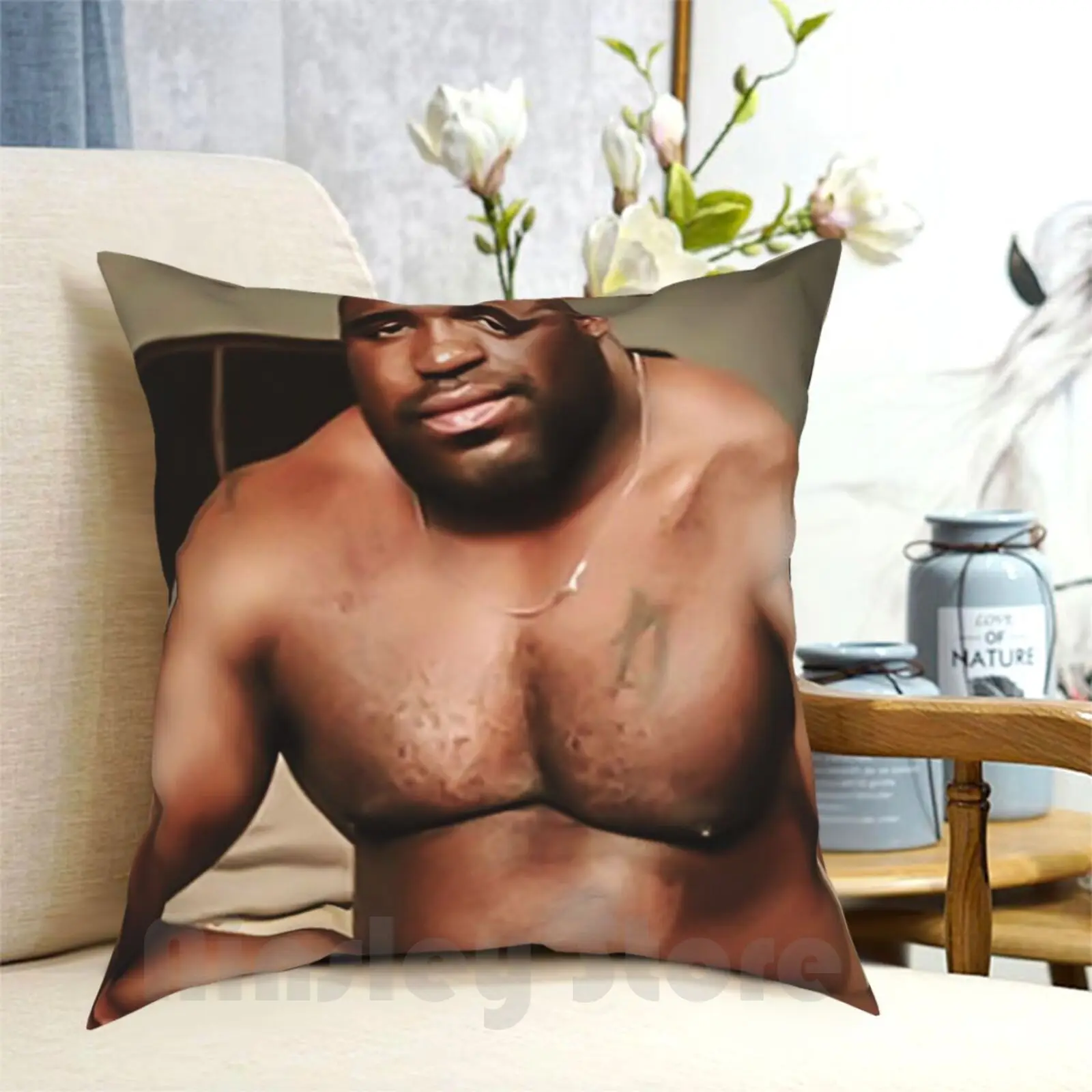 

Barry Wood-Funny Meme Well Endowed Man Black Guy Dick Meme Design Art Pillow Case Printed Home Soft Throw Pillow Well