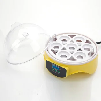 

7-Egg Mini Practical Poultry Electric Incubator Durable Egg Incubator Poultry Hatcher for Inside Indoor (US Plug)