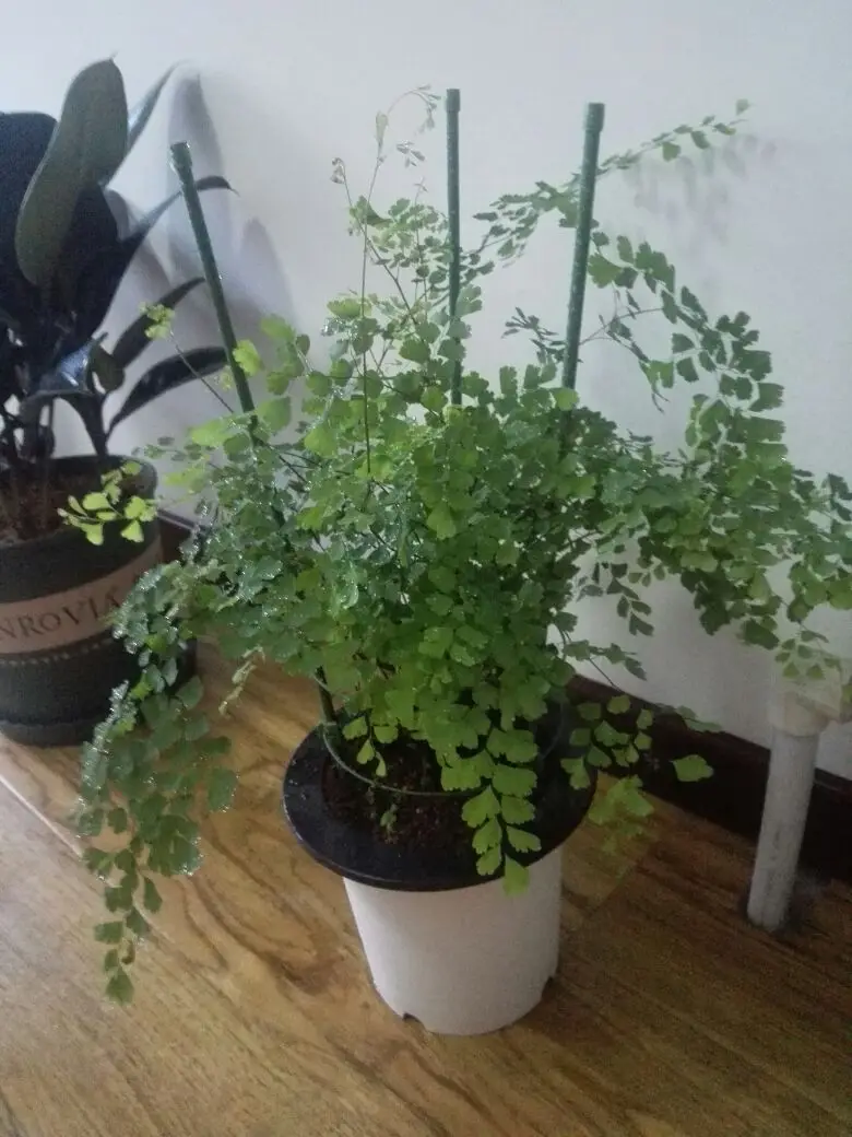 TB27FcntpXXXXblXXXXXXXXXXXX_!!0-rate