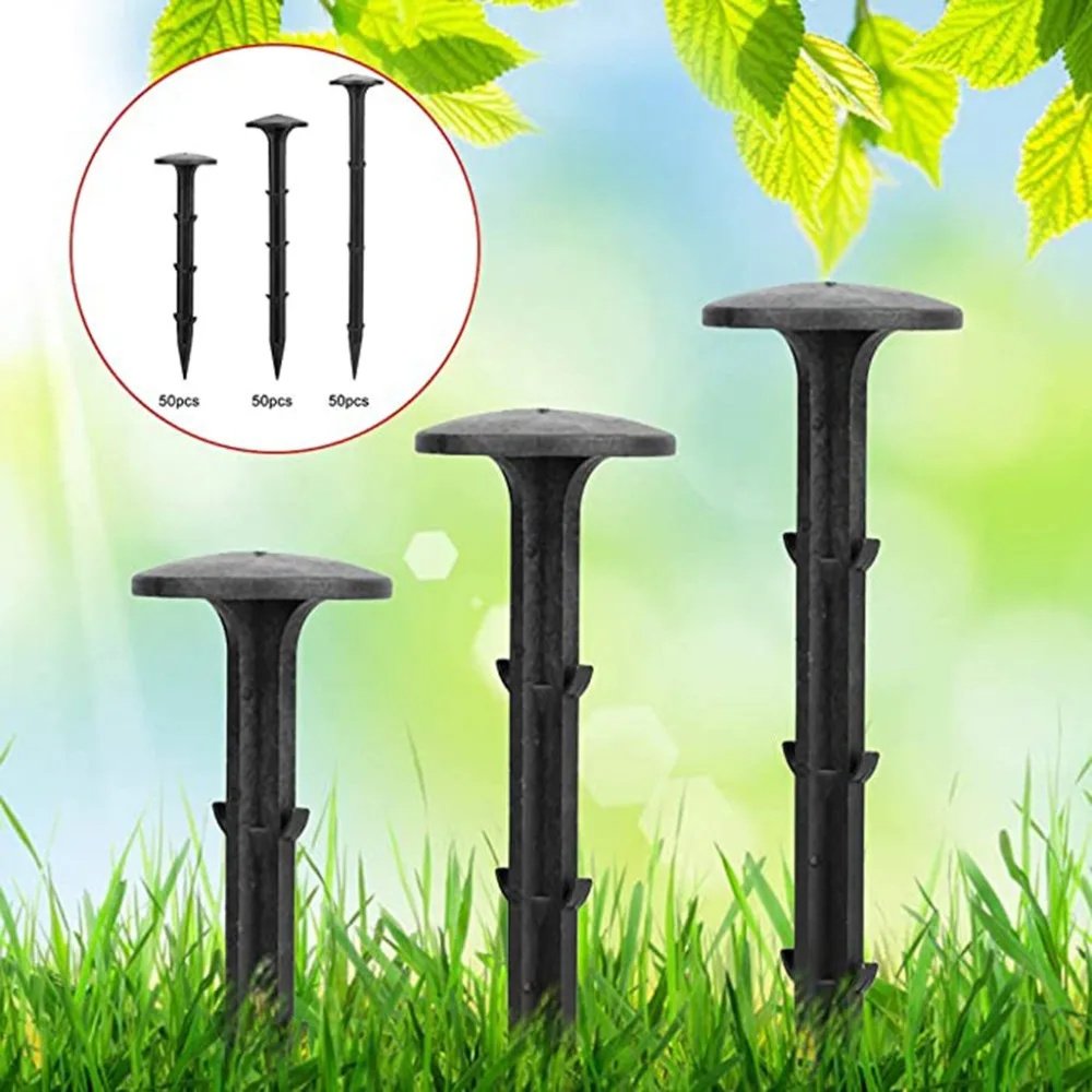 LFY200513208_0302169272648157059