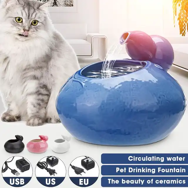cat dog water fountain