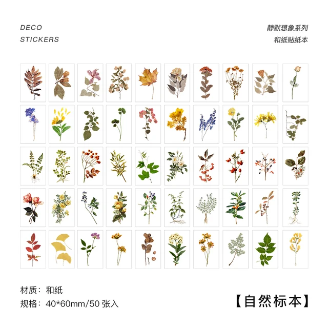 Warm 366pcs Of Van Gogh Color Multi-Style Plant Kraft Paper Diary Stickers Aesthetics Bullet Journal Art Supplies Material Paper 8
