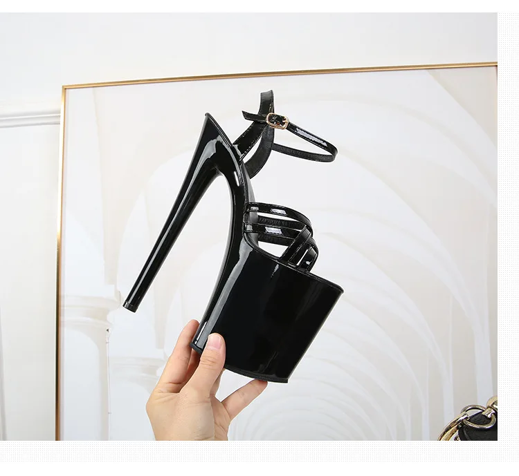 13295577108_2138732029