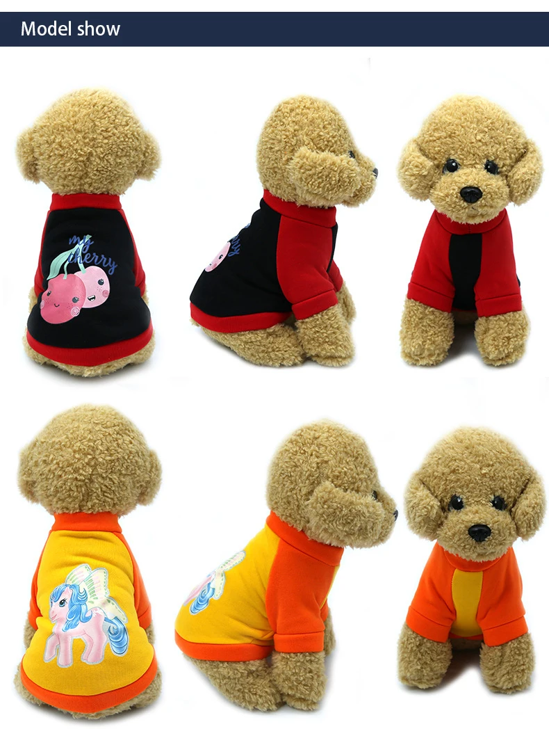 11785552731_650913782