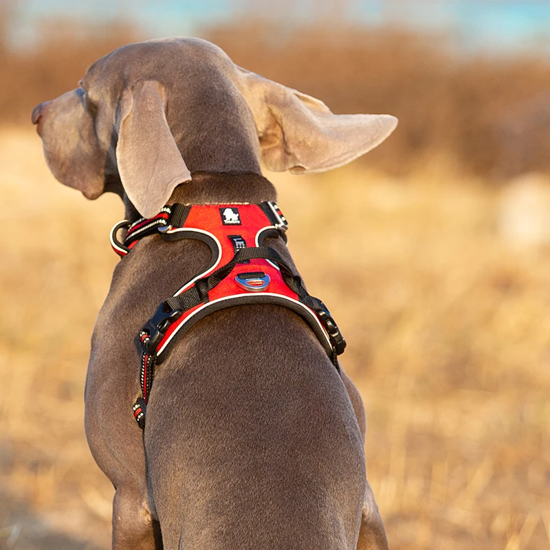Truelove Pet Reflective Nylon Dog Harness No Pull Adjustable Medium Large Naughty Dog Vest Safety Vehicular