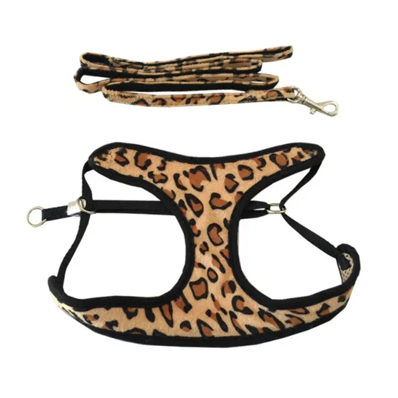 9 - 3452617588_1118553369