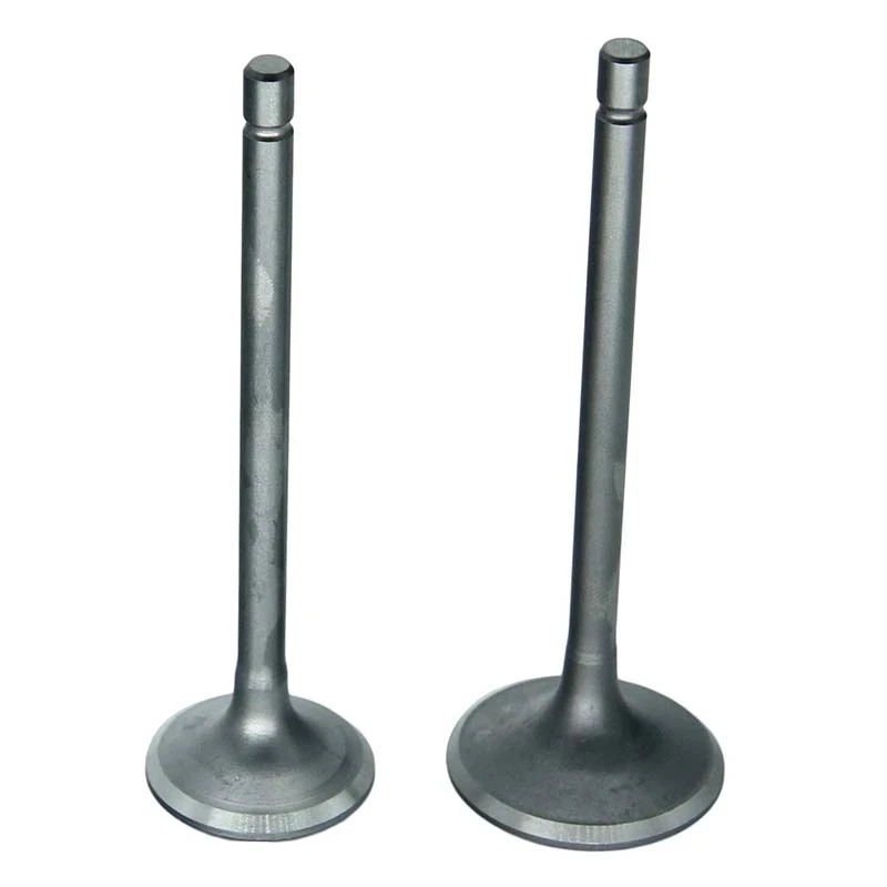 PIT-Bike-Intake-Valve-Exhaust-Valves-fit-for-Zongshen-Loncin-Lifan-CG200-ATV-Go-Kart-Moped.jpg_Q90.jpg_.webp (1)