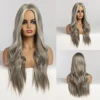 ALAN EATON Long Wavy Silver Gray Ash Wigs with Highlights Middle Part Synthetic Hair Wigs for Women Cosplay Party Heat Resistant ► Photo 1/6