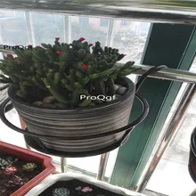 ProQgf 3Pcs A Set Plant Shelf warm house design window shelf use