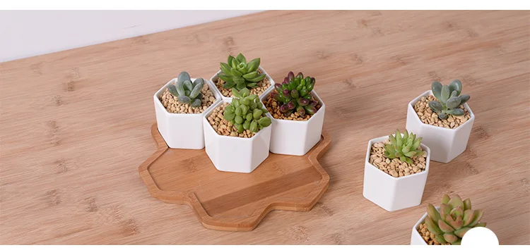 H2aec53982c4841f2882cd4cbe4a412d7f