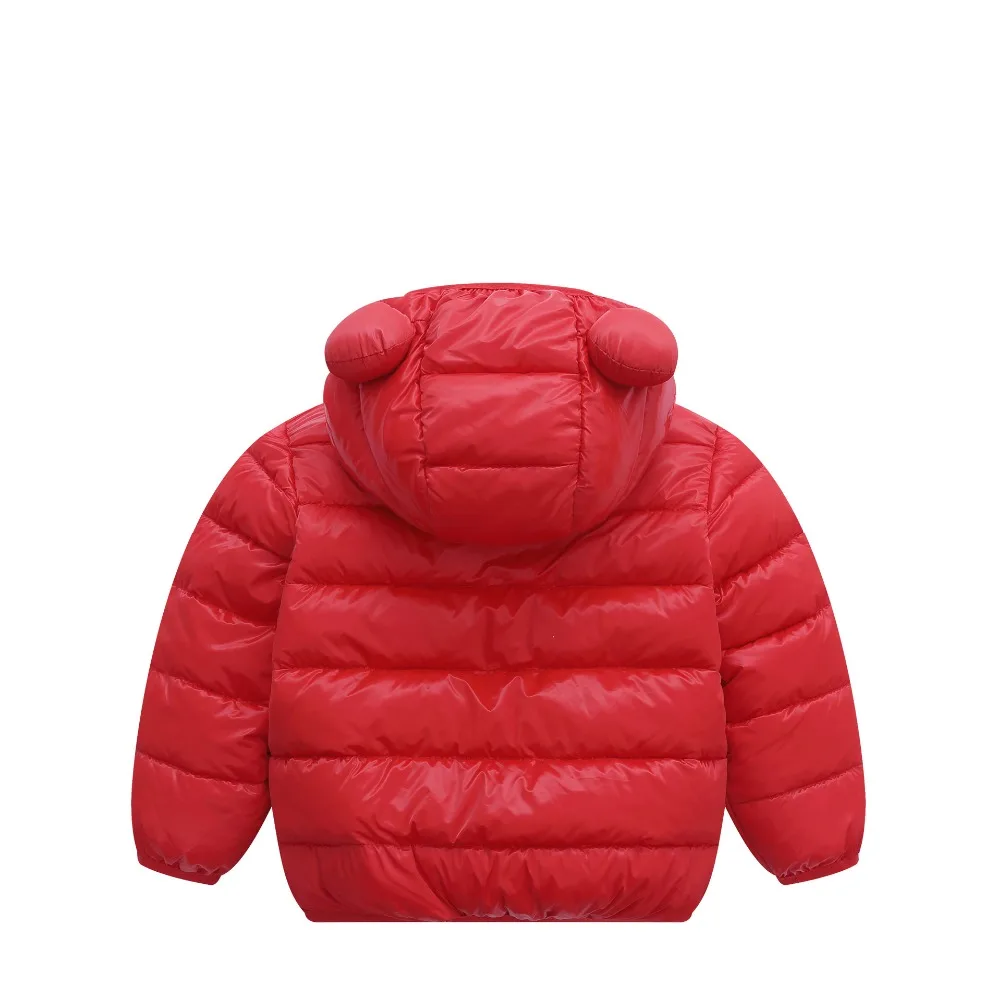 11260566619_731197851