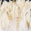 Plumas de pollo blancas naturales, 1 metro, flecos elegantes, 10-15cm, cinta de plumas de gallo para Festival y adorno para ropa de fiesta, artesanía ► Foto 3/6