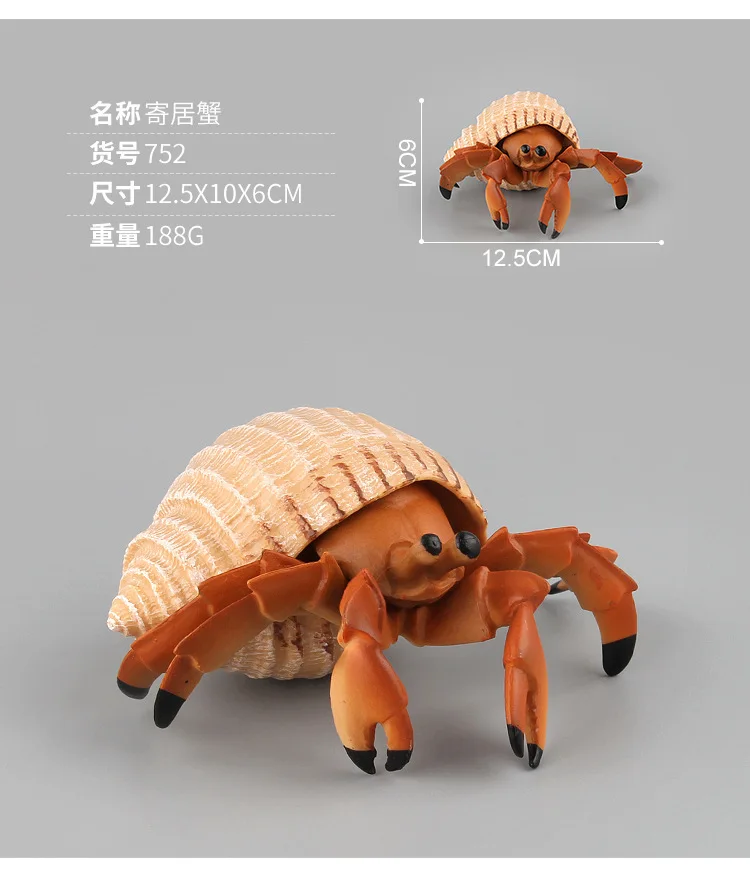 9139015668_920392923