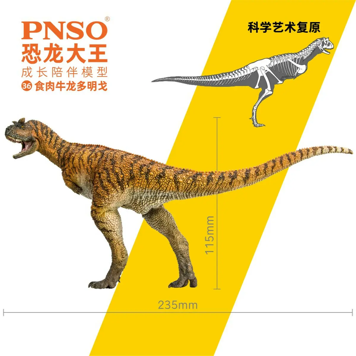 Pnso 36 Carnotaurus Aus Figure Ceratosauria Abelisauridae Dinosaur Model Collector Animal Adult Toy Regalo Di Compleanno Di Natale