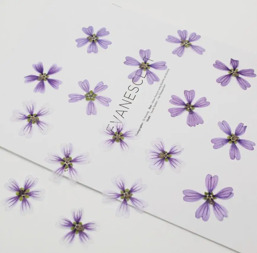 120 шт прессованный высушенный цветок Malva Sinensis Cavan для эпоксидной смолы кулон ожерелье для изготовления ювелирных изделий макияж ремесло DIY аксессуары