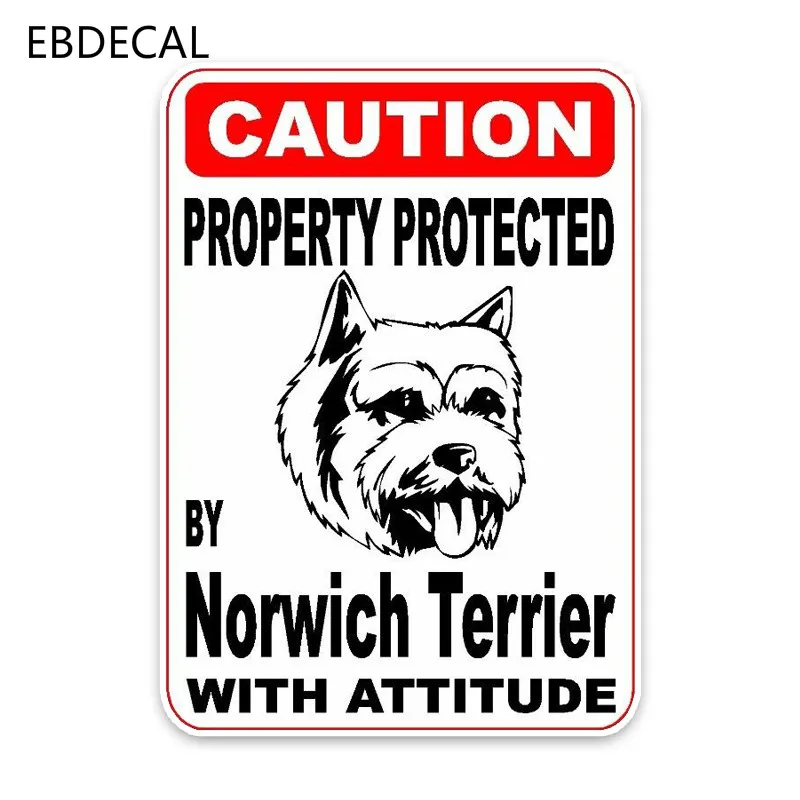 EBdecal Property Protected By Norwich Terrier Dog Auto Car Bumper Window Wall Suitcase Decal Sticker Decals DIY Decor CT13813 | Автомобили
