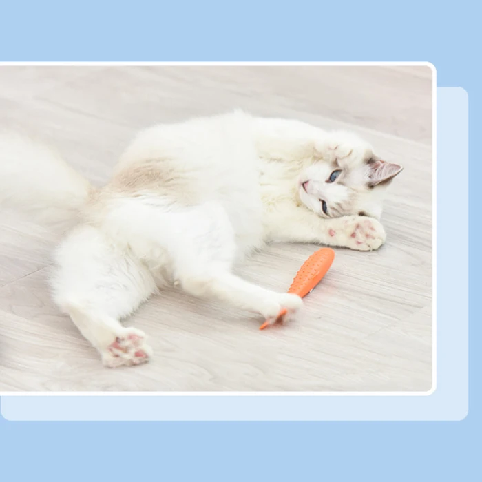 Cats Toothbrush Pet Molar Stick Silicone Teeth Cleaning Toy for Pets Toothbrush Toy 66CY