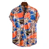 ds06