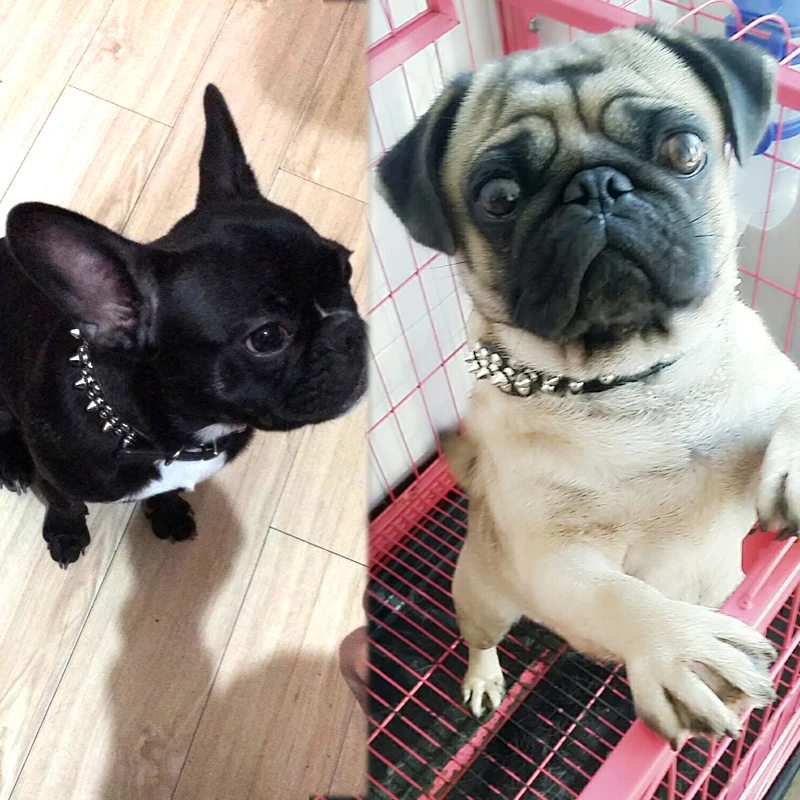 Dog Collar Small Dog Traction Rope Dog Ring Rivet Collar Obroze Dla Psa Perros Productos Luxury Dog Collar Dog Supplies DD6D80