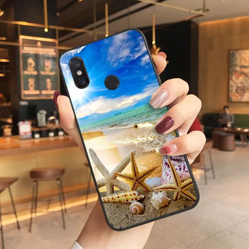 beach starfish blue sky