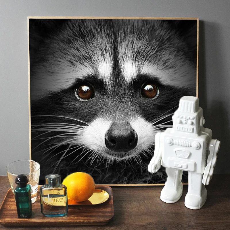 Modern popular Animal Posters and Prints Wall Art Canvas Painting Black White Cute Racoon Picture for Living Room Home Decor | Дом и сад