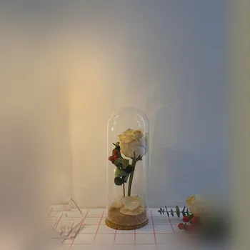 

Free Shipping 6sets/pack 7*18cm Small Cork Base Glass Dome Home Wedding Decoration Diameter=7cm Diameter=18cm Glass Cover Gift