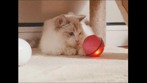 Умная интерактивная игрушка для кошек USB Перезаряжаемый светодиодный светильник на 360 градусов самовращающийся шар для домашних животных, игрушки для игр, активированные движения, Pet Bal