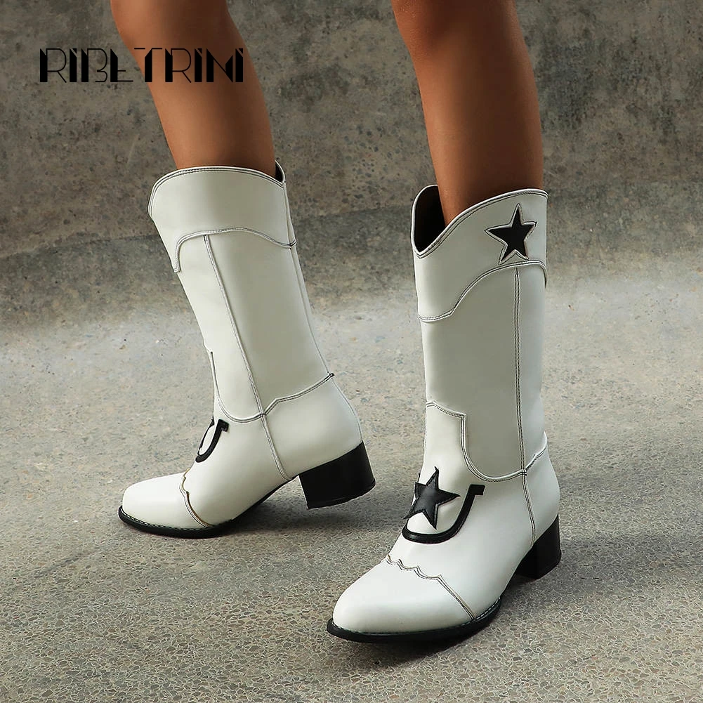 

RIBETRINI Chelsea Boots Women Vintage Chunky Heels Pointed Toe Shoes Woman Autumn Winter Slip On Outdoor Western Boots Big Size