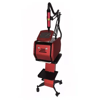 

Nd Yag Eyebrow Tattoo Removal Black Doll Picosecond Portable Laser with 1064nm 532nm 755nm Machine