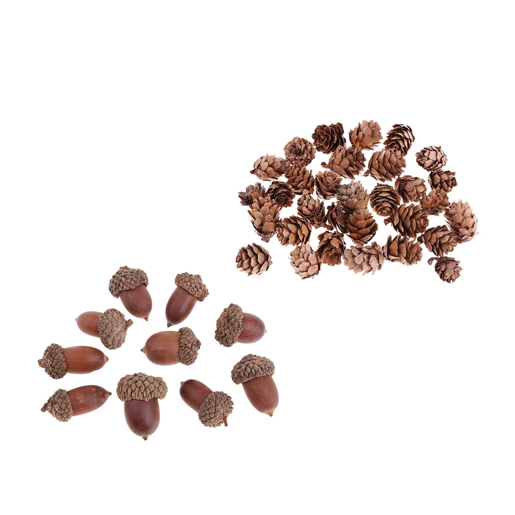 40pcs Natural Dried Pine Cones Acorns Floral Craft DIY Christmas Decoration