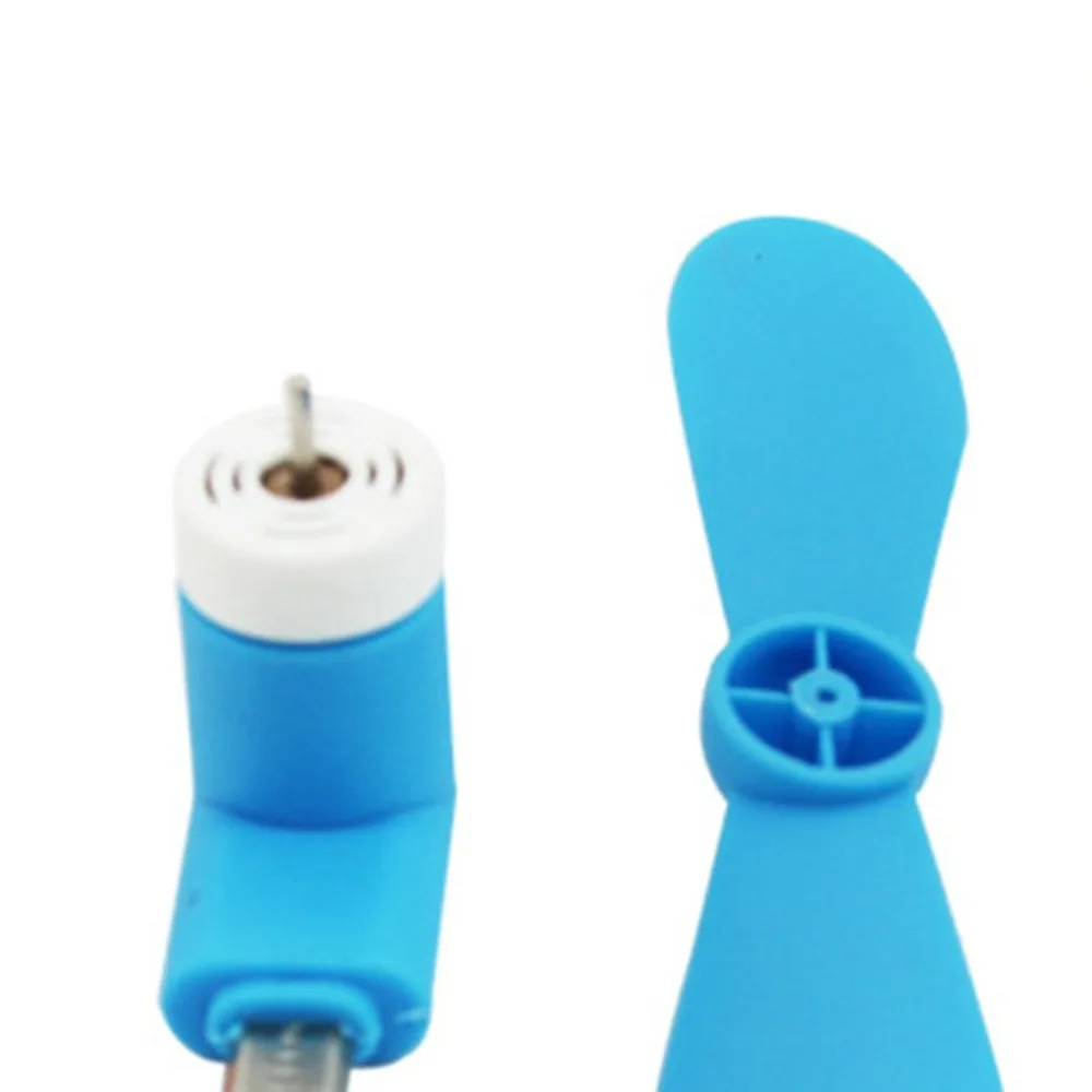 DQ367303-C-20190439-1