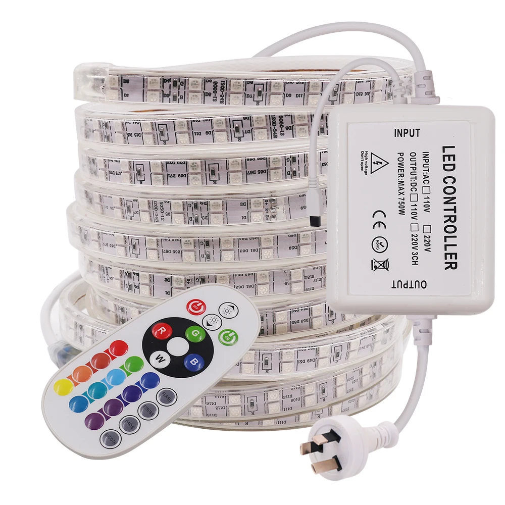5050 RGB Светодиодная лента светильник AC 220 В IP67 Водонепроницаемый светодиодный ленточный веревочный светильник двухрядный 120 светодиодный s/m для украшения дома с 24-кнопочным пультом дистанционного управления
